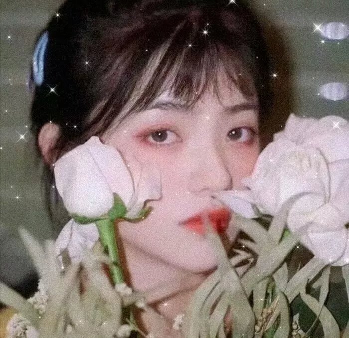 在京都小住